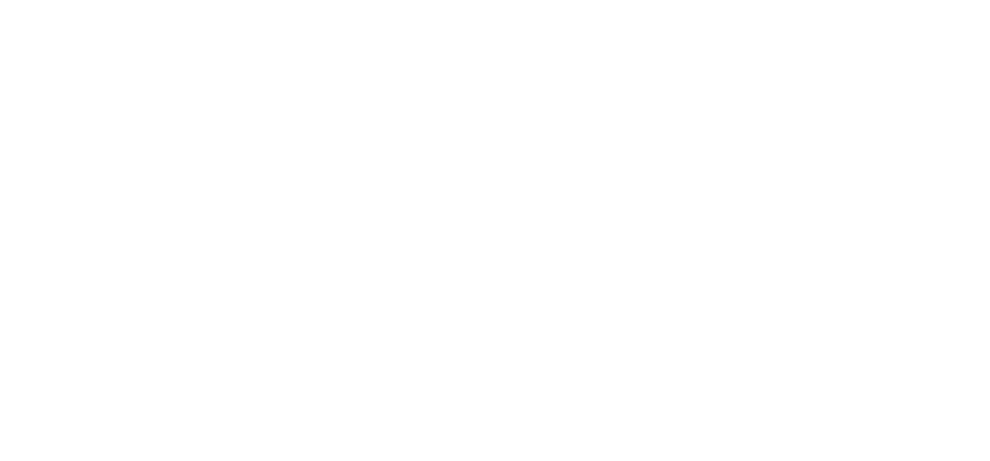 Alliance Propreté Services