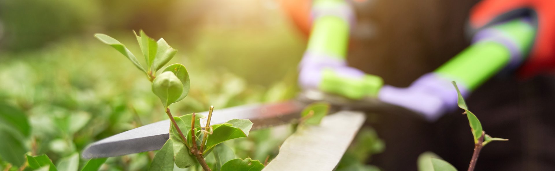 Petit entretien d'espaces verts